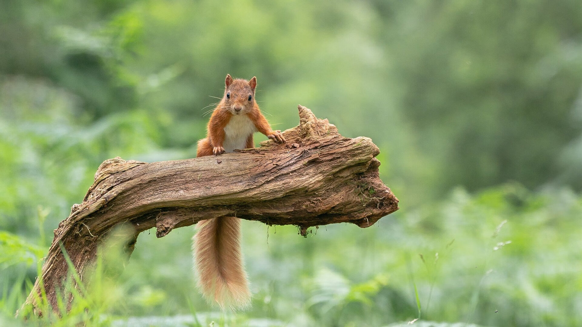 中超年度比赛节奏与天气因素影响关系分析，中超变天